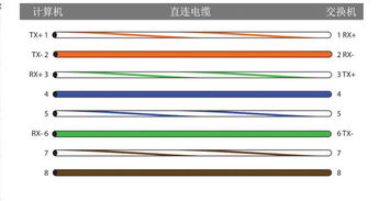 從客廳到臥室網(wǎng)線連接方案 實(shí)現(xiàn)兩臺(tái)電腦同時(shí)上網(wǎng)